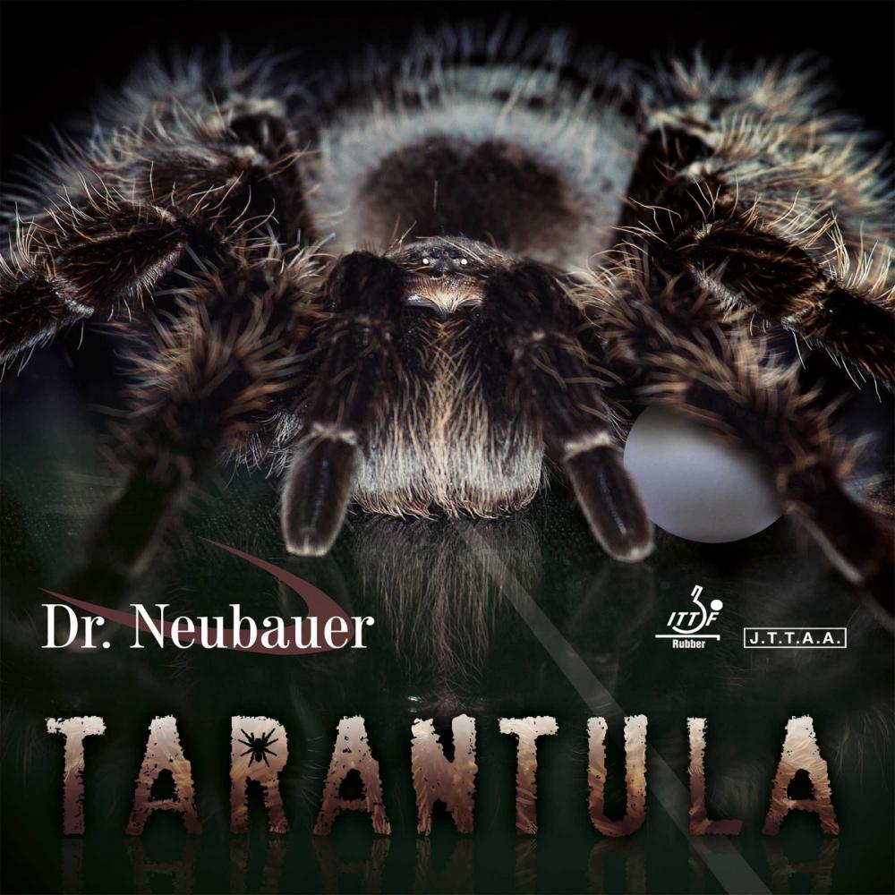 Dr Neubauer Tarantula Tischtennis-Shop ProduktDr Neubauer Tarantula online kaufen
